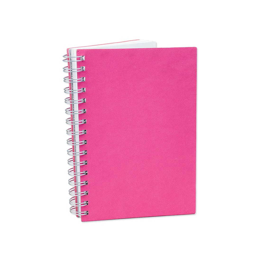 Emily’s Notebook - Journals