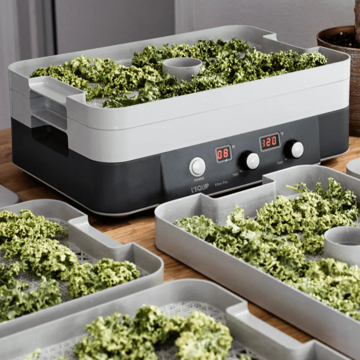 FilterPro® Food Dehydrator - Food Dehydrator