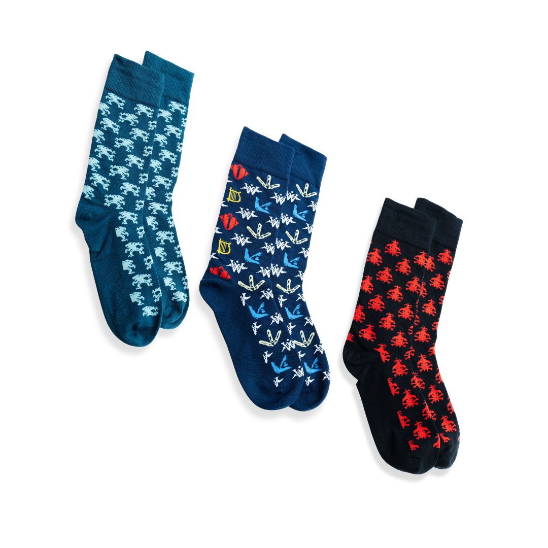 Wingfeather Socks 3 Pack - Socks