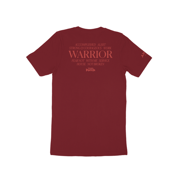Young David Warrior T-Shirt