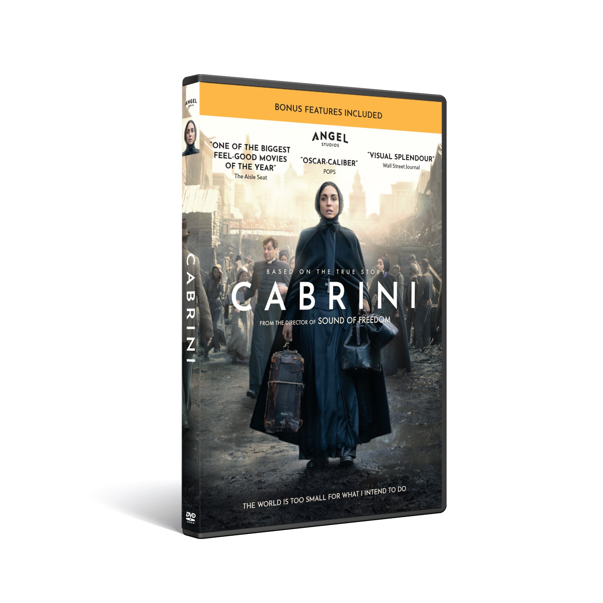 Cabrini - Group Licensing Agreement - Standard DVD + 24.99 / Less than 100 - DVD & Blu-ray