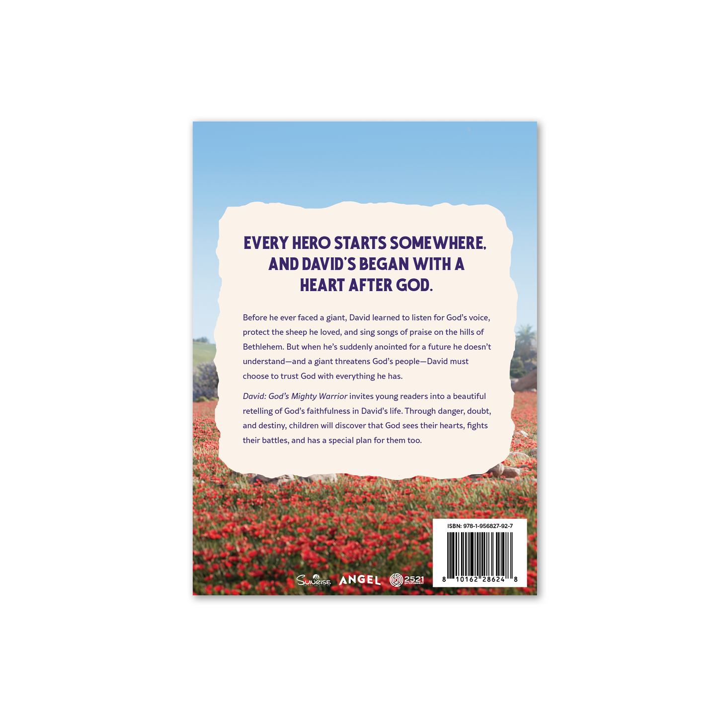 David: God’s Mighty Warrior Children’s Book - PREORDER - Books