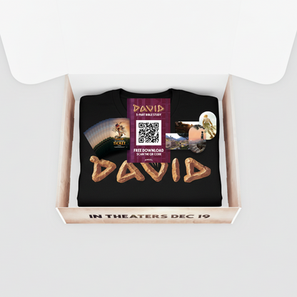 DAVID PIF Box Kit - Bundles