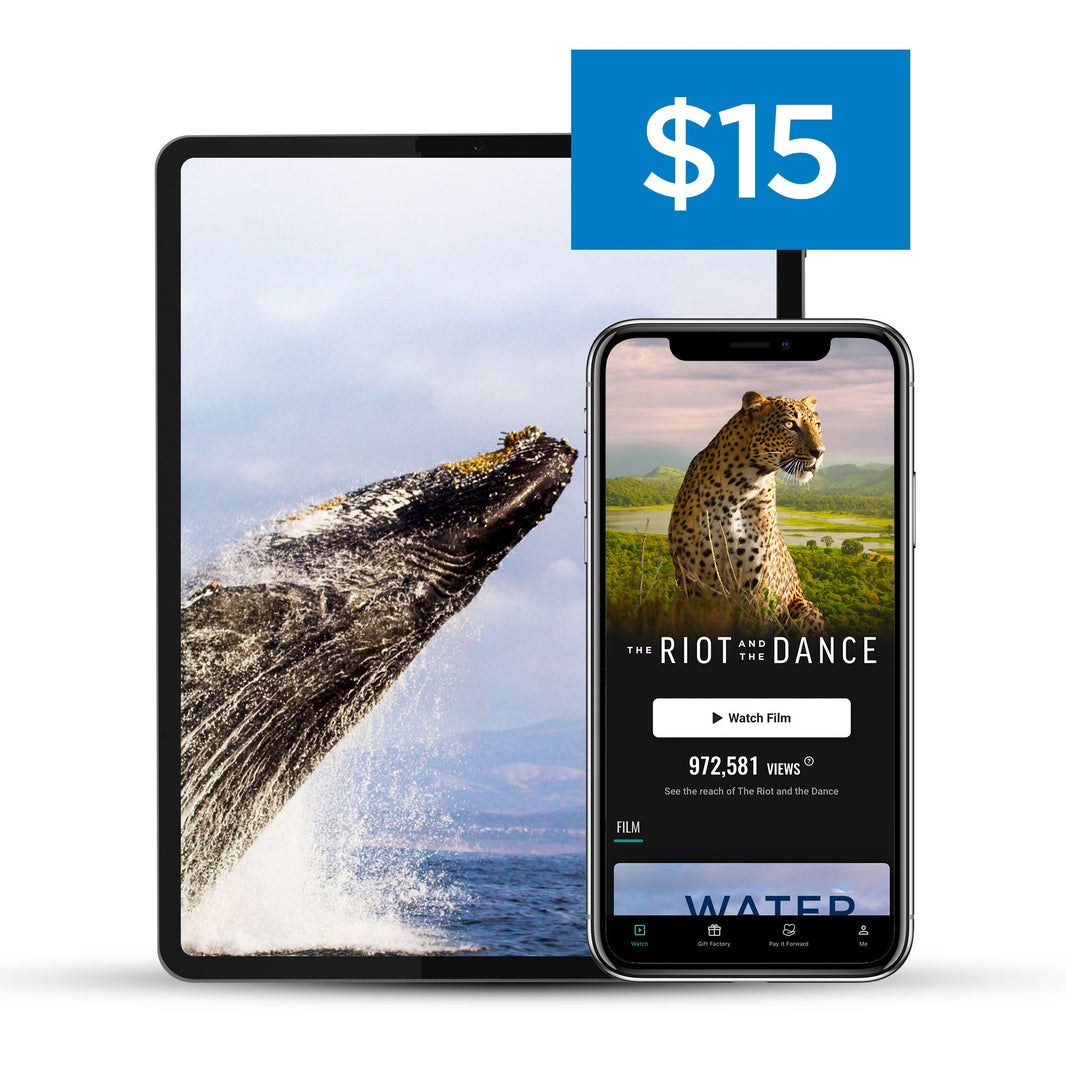 Riot & the Dance Official Store – Angel Studios Gift Factory