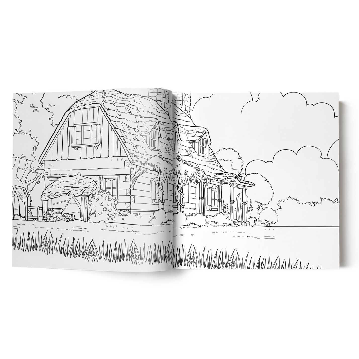 The Wingfeather Saga Coloring Book - Books